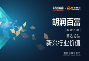 揭秘：2018胡潤區塊鏈企業排行榜 八個隱藏密碼