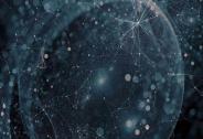共識體系太單一，注定要分手