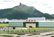 海外疫情肆虐，利歐股份愛心助力海外僑胞抗擊疫情