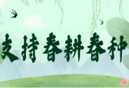 創新險種助春耕，中華財險為河源市中藥材種植保駕護航
