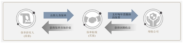 國內投資人跨境投資提速，保單貼現或成另類投資新寵