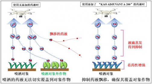 高性能助劑助力智慧?綠色農業 花王植保無人機專用飛防助劑上市