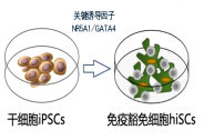 華衛恒源完成數千萬Pre-A+輪融資
