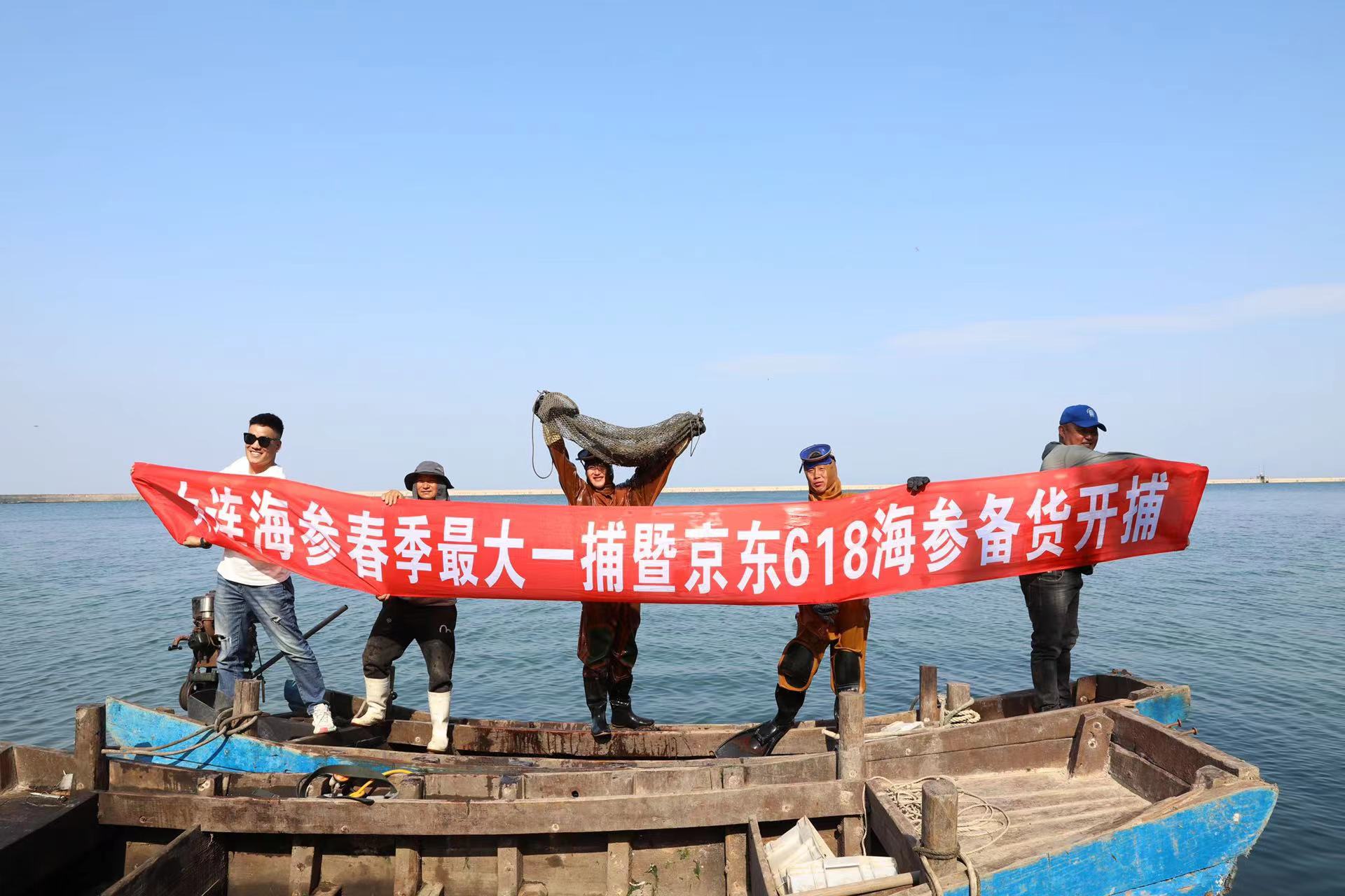 大連海參春捕季開捕：捕撈破百萬斤，產量創五年新高，預計價格下行，海參自由將至