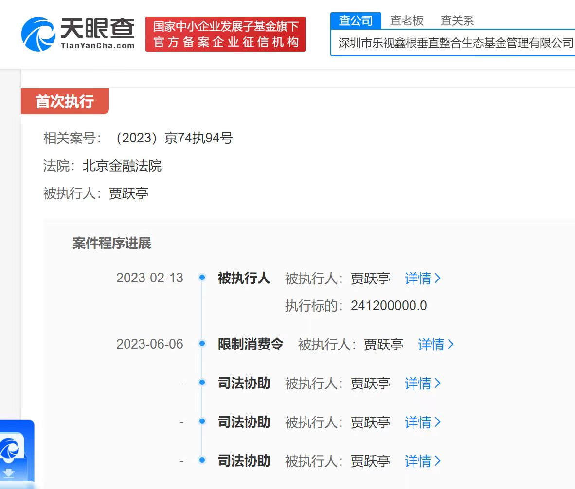 賈躍亭未履行2.4億罰款被限消