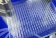 阿卡索生物完成數千萬元Pre-A輪融資