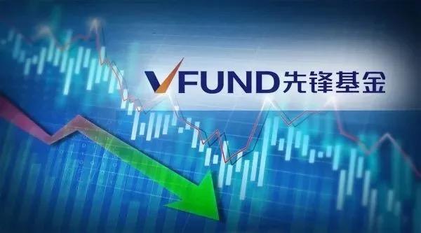 先鋒基金開啟戰略升級：神秘操盤手入主，注入發展新動能